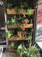 4 jardinières à réserve d'eau en douglas