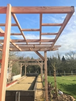 pergola en douglas