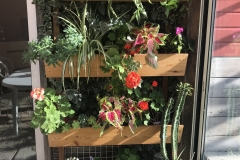 4 jardinières à réserve d'eau en douglas