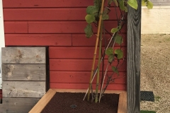 jardinière hexagonale en chêne pour kiwi